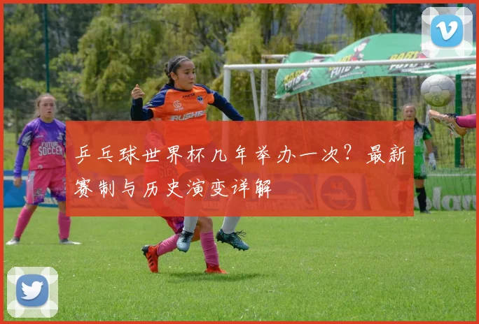乒乓球世界杯几年举办一次?最新赛制与历史演变详解